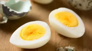 egg protein