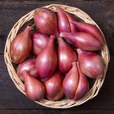 Shallots