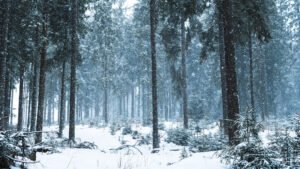 snowing