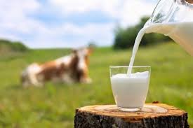 milk