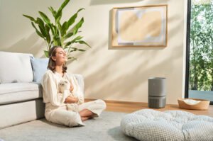 indoor air pollution