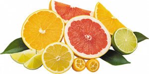 citrus fruits