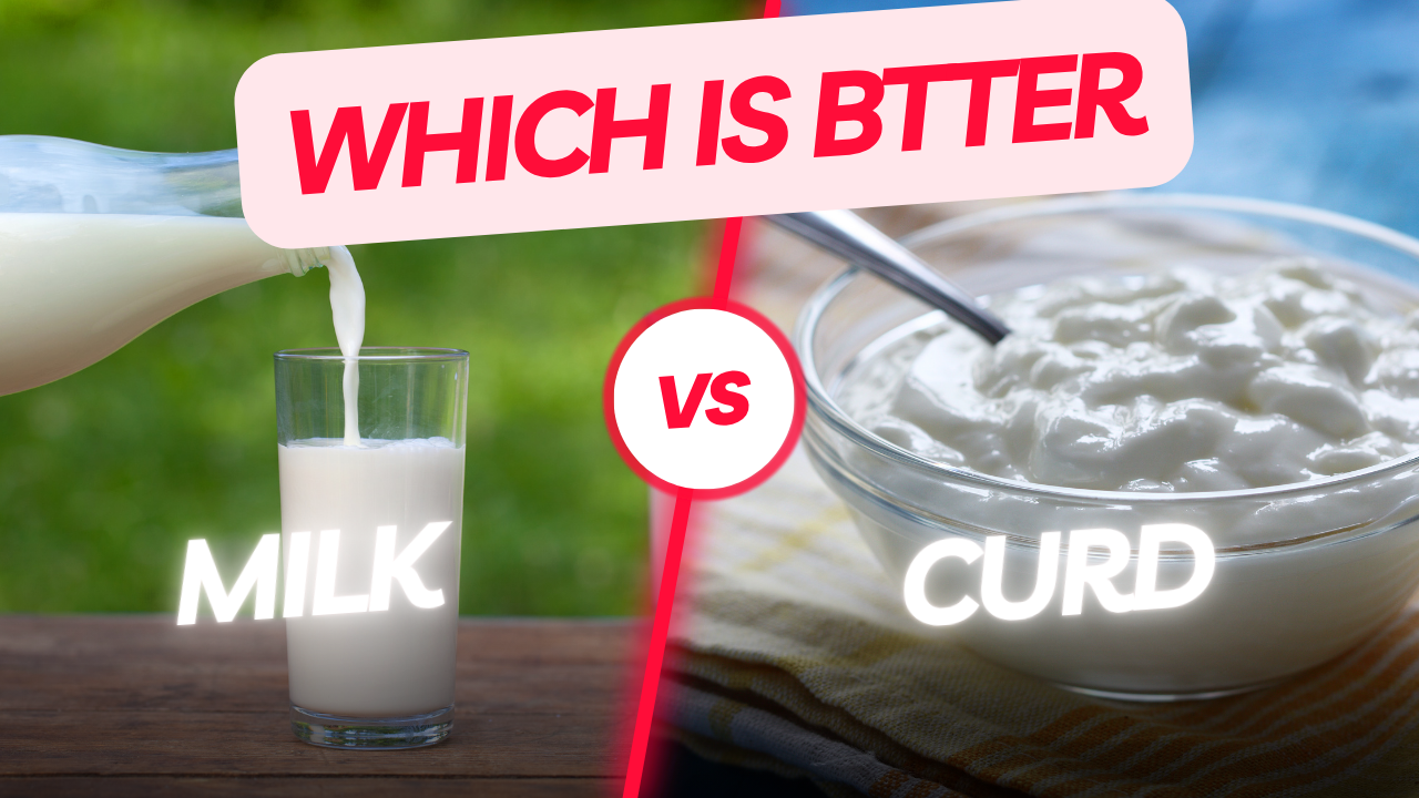 milk vs curd